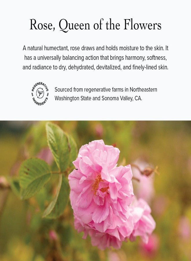 evanhealy Sonoma Rose Petal HydroSoul | Copper Distilled Hydrosol | Hydrating & Balancing Face Toner for Mature, Delicate, Fragile & Devitalized Skin - Image 2